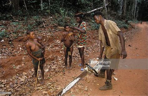Deforestation At The Aka Pygmies In Central African Republic In