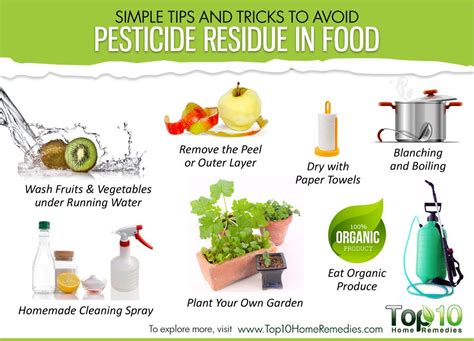 Simple Tips And Tricks To Avoid Pesticide Residue In Food Top 10 Home