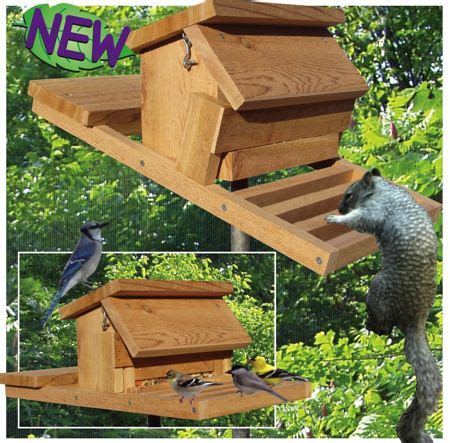 The result is no broken feeders, bent poles or unhappy people. Homemade Squirrel Proof Bird Feeder Plans | FeedingNature.com