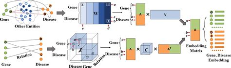 Our Matrix Tensor Joint Decomposition Model Is Published In Jbi