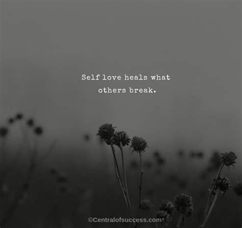 100 Aesthetic Love Quotes Captions And Images