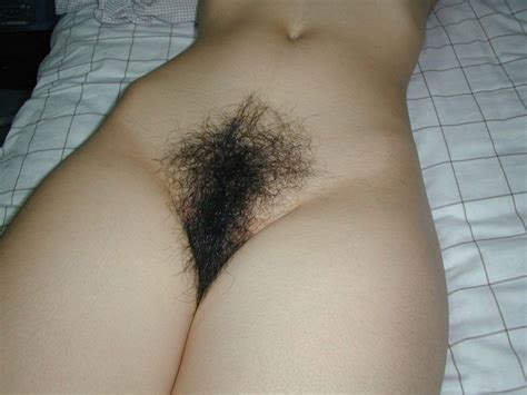 Collection Of Pubic Hair Porn Amateur Snapshots Redtube