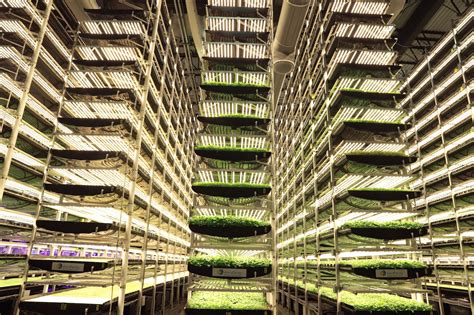 Aerofarms Is On A Mission To Grow The Best Plants Possible For The