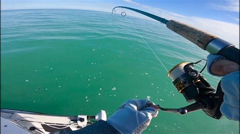 Saltwater Fishing In Florida Youtube