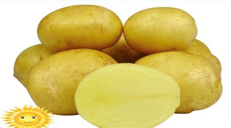 Oct 08, 2019 · per concludere la carrellata della verdura di stagione di ottobre, una vera e propria specialità sono le patate novelle: Le migliori varietà di patate