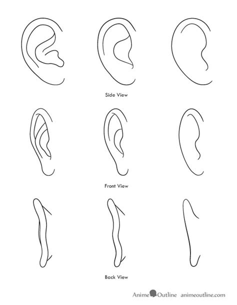 How To Draw Ears From The Front Easy Ever Had Trouble Drawing Ears