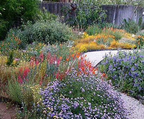10 Tips For A Successful California Native Plants Garden California
