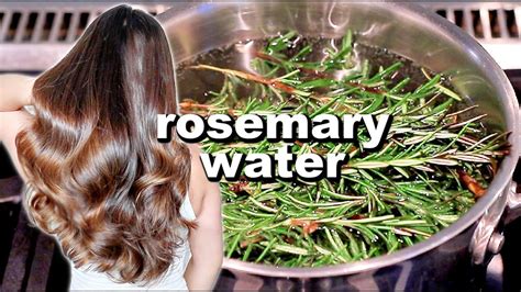 Rosemary Water For Hair Growth Diy Rosemary Water Recipe How To Use