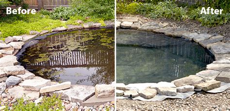 How to make garden pond water clear. How to get rid of algae in your garden pond | Garden Gate