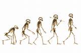 Theory Of Evolution Man Photos