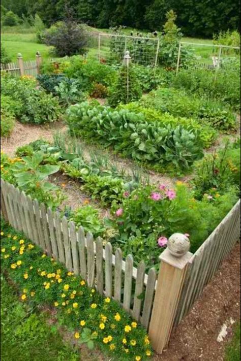 Beautiful Vegetable Garden Cottage Vegetable Garden Pinterest