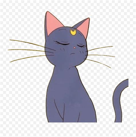 Aesthetic Anime Cat Pfp Novocomtop Sailor Moon Aesthetic Anime