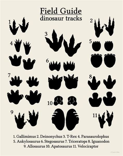 Printable Dinosaur Footprints