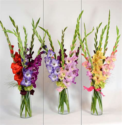 If you are thinking about sending funeral flowers to a family that has a loved one here}. Gladiola Splash in Woodbury, MN | Woodlane Flowers