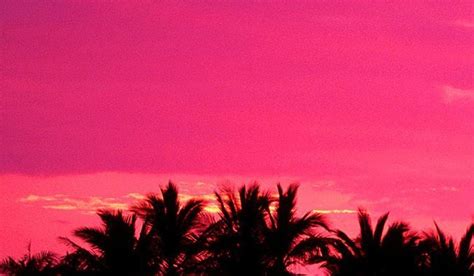 Iphone Pink Beach Sunset Wallpaper Canvas Point