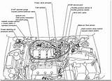 Vacuum Hose Diagram 2000 Nissan Maxima Pictures