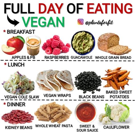 health advice vegan recipes on instagram “full day of eating vegan 😋what will you eat today 👉