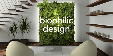 The Case For Biophilia Commercial Biophilic Design