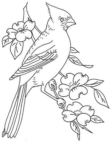 Top 8 High Detailed Beautiful Cardinal Coloring Pages Coloring Pages