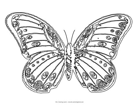 Of The Best Ideas For Butterfly Printable Coloring Pages Home