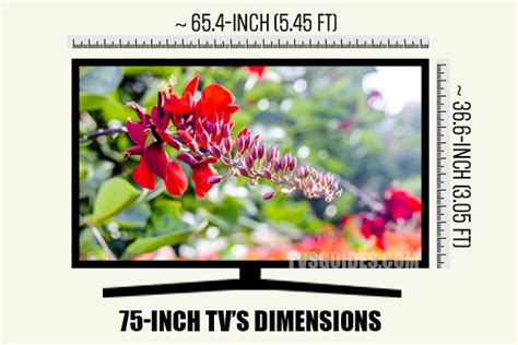 75 Vs 85 Inches Tv The Comparison On Sizes Dimensions Distance