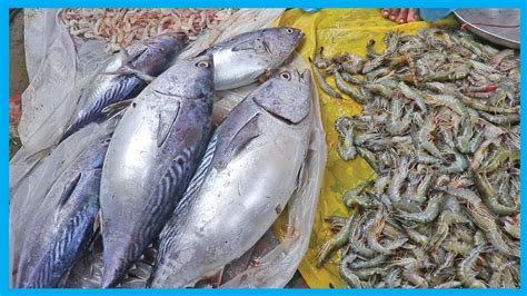 How do i find food banks near me? Exclusive Fresh Fish Market Near Me (Part 7) | Fish Corn ...