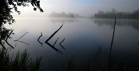 Ze omvat de landschappen gästrikland en hälsingland. Gävleborgs Län - Vargfakta