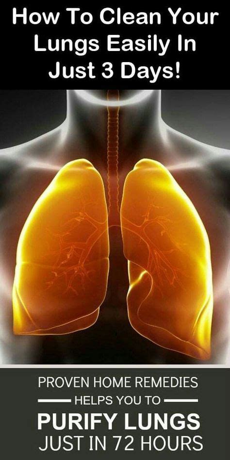 10 best clear lungs images lunges lungs health health