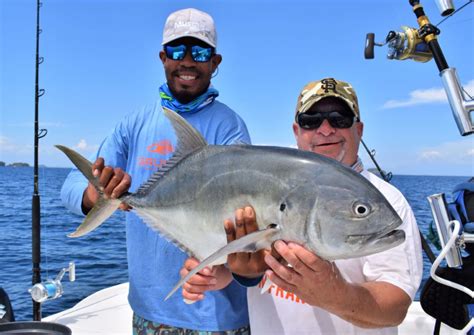 Pompano Vs Jack Crevalle Whats The Difference Fish Panama Today