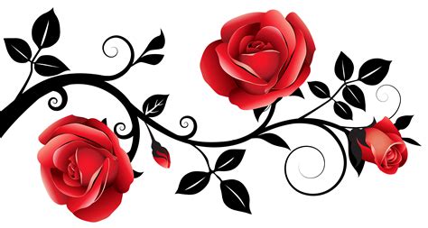 A tattoo designed on the arm. Red and Black Decorative Roses PNG Clipart Image | Rose ...