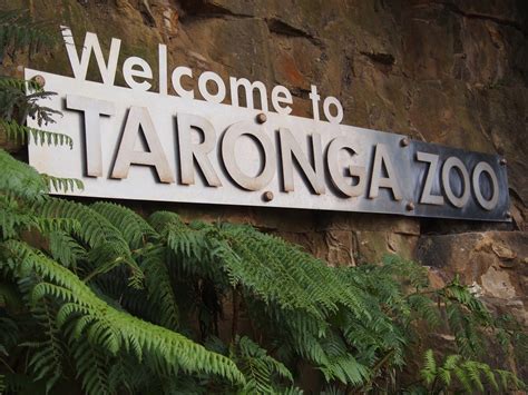 The Leap Taronga Zoo