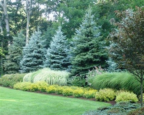 Zero Lot Line Landscaping Ideas Helpful Ideas For Landscaping