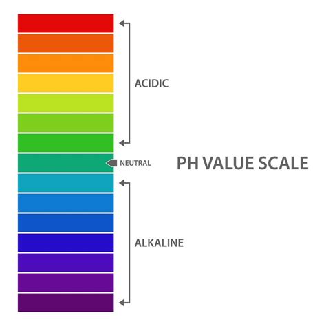Ph Value Scale 1268578 Vector Art At Vecteezy