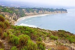 Bilder von Kalifornien Vereinigte Staaten Malibu Natur Küste Strauch