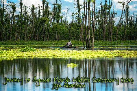 Top 10 Beautiful Places And Wonders Of Agusan Del Sur Philippines