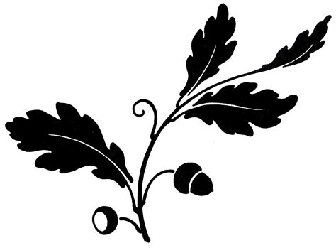 Check spelling or type a new query. Maple Tree Silhouette at GetDrawings | Free download