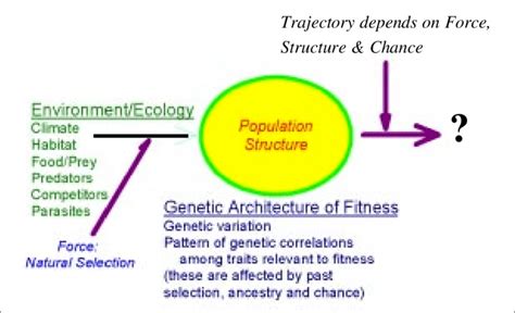 A Simplistic View Of Adaptive Evolution The Evolutionary Trajectory Of
