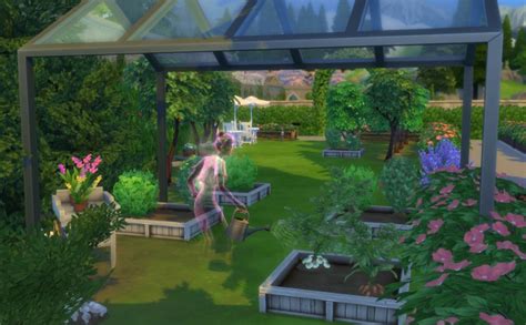 Le Jardinage Où Trouver Toutes Les Plantes Dans Les Sims 4 Daily Sims