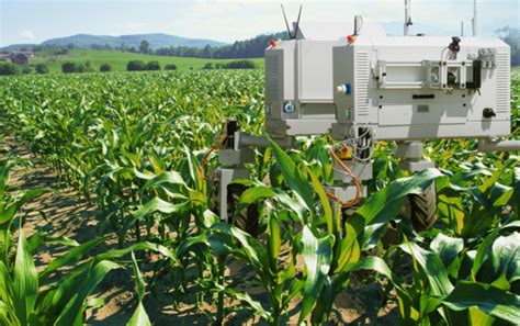Agri Tech Revolution The Role Of Ai In Transforming Agriculture Robotics
