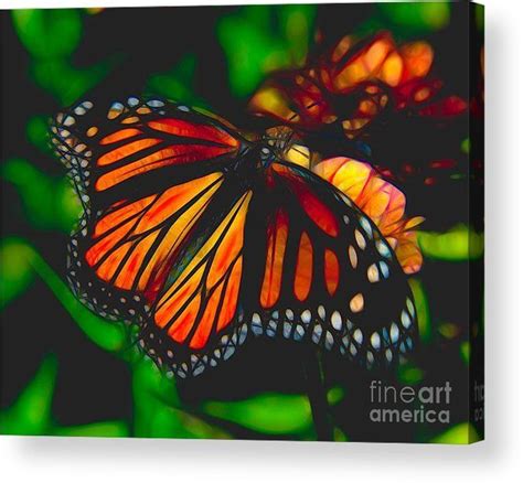 Butterfly Thing 1 Framed Prints Poster Prints Mudd Monarch