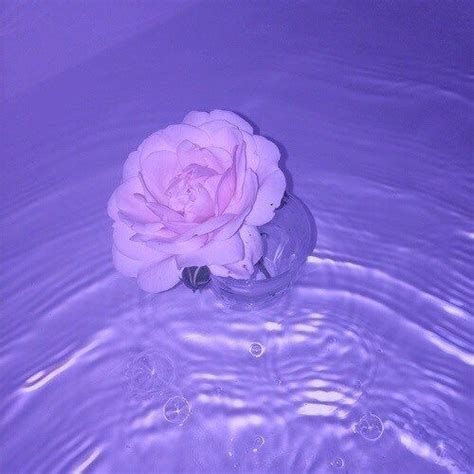 We have put together a large collection of wonderful animated. Image result for pastel purple aesthetic | Wallpapers ...