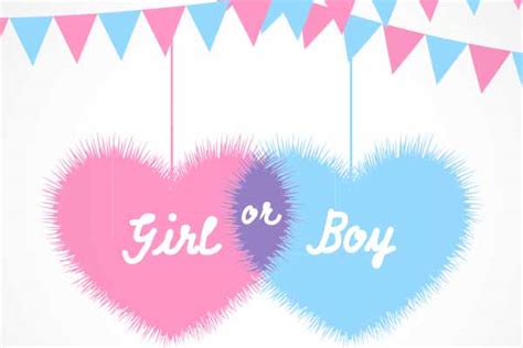 Fille Ou Garçon Tout Pour La Gender Reveal Jour De Fête