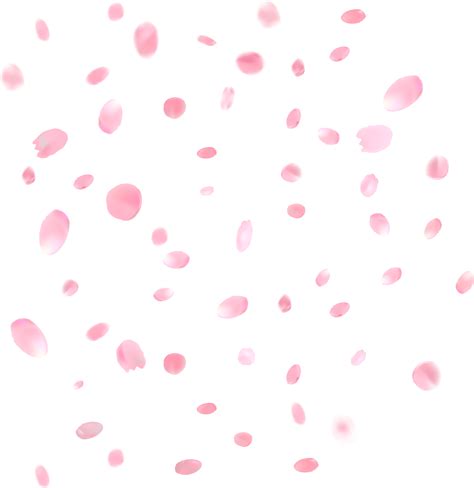 Falling Cherry Blossoms Png Free Logo Image