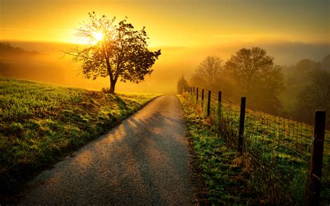 Check spelling or type a new query. Idyllic rural landscape in golden light - Positive Life
