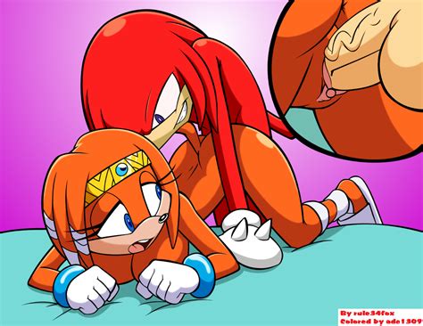 Post 1429914 Adc1309 Knucklestheechidna Rule34rox Sonicthehedgehogseries Tikaltheechidna