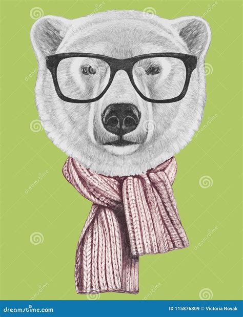 Portrait Of Polar Bear With Glasses And Scarf Hand Drawn Illustration