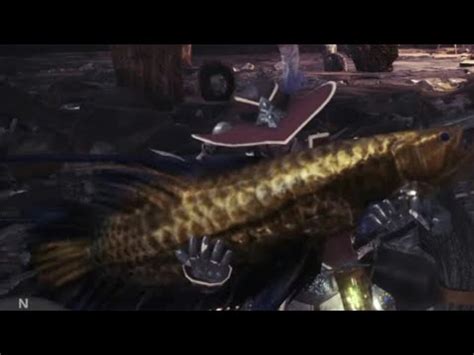 MHW: All Aquatic Endemic Life/Pets (Timestamps In ...