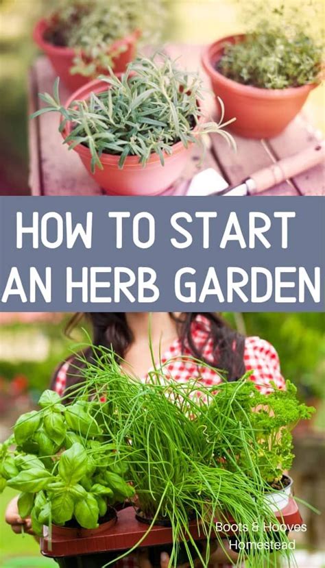 How And Why To Start An Herb Garden Artofit