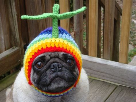 Rainbow Propeller Dog Hat Made To Order Etsy