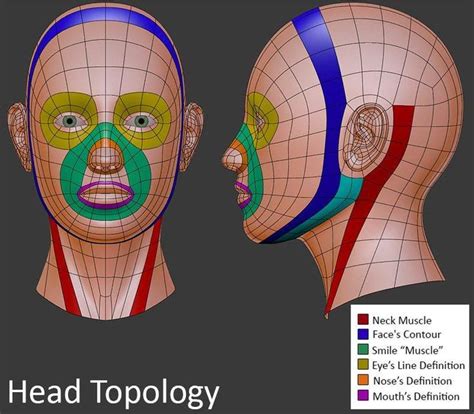 topología de rostro para desarrollo en 3d animation 3d animation reference art reference low